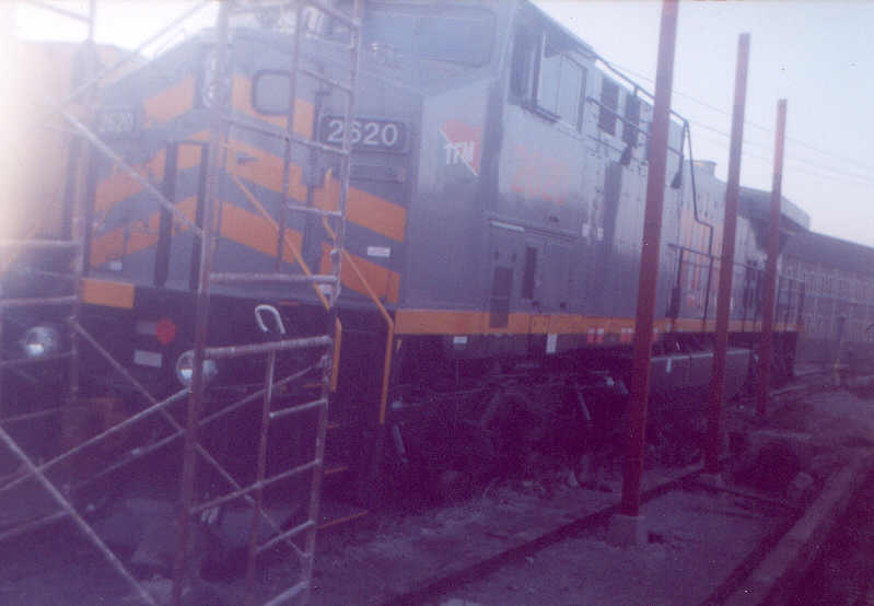 2620.jpg